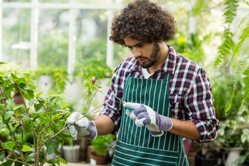 Gardener working in a Paddington terrace garden with plants and tools