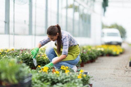 Community gardeners sorting green waste in Paddington