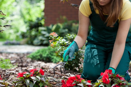 Integrated pest management in a Paddington garden