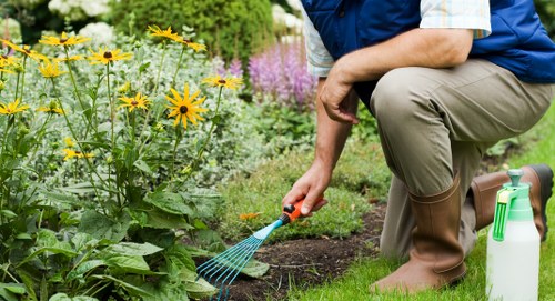 Professional landscapers working in Paddington