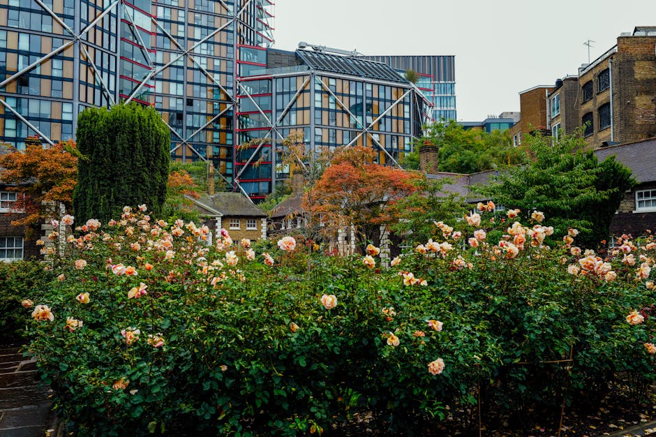 A well-maintained garden scene with a lush, trimmed lawn bordered by a variety of plants and shrubs. In the foreground, there are freshly cut grass edges and a neatly raked flowerbed filled with small